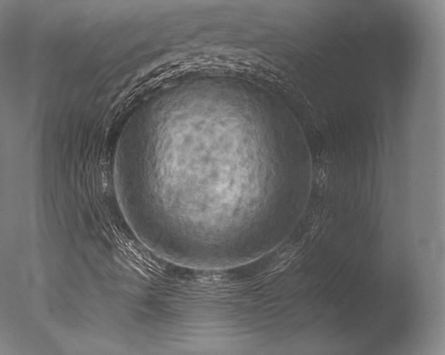 X0000077361490200610201308