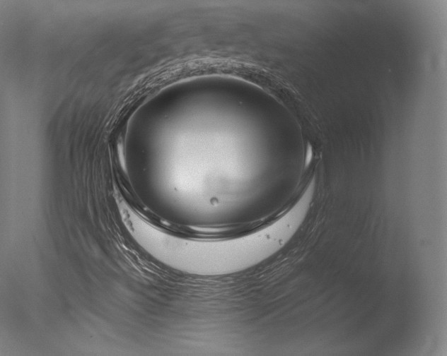 X0000077361492200610201308