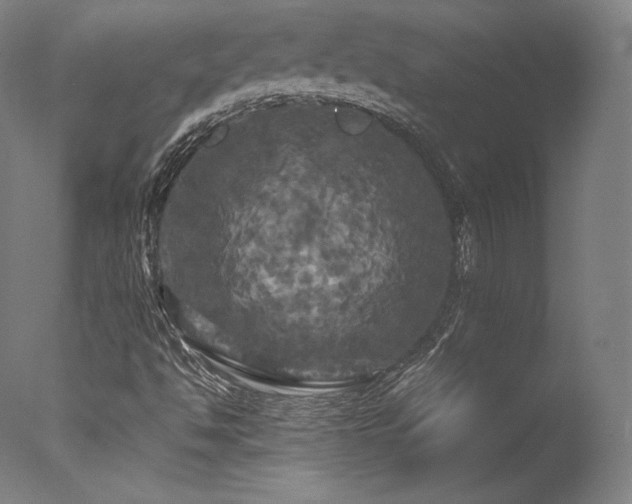 X0000077361494200610201308