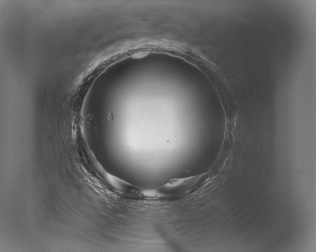 X0000077361496200610201309