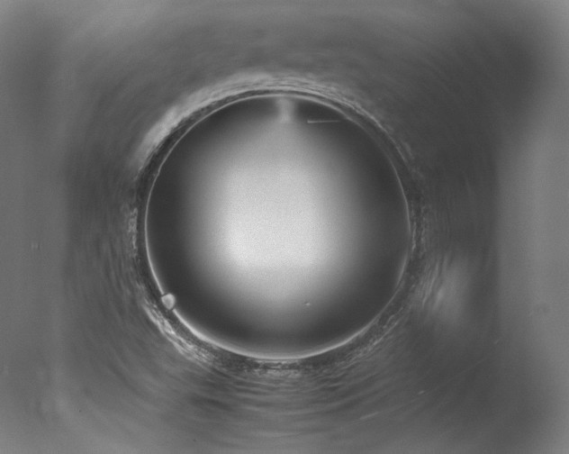 X0000077361503200610201309