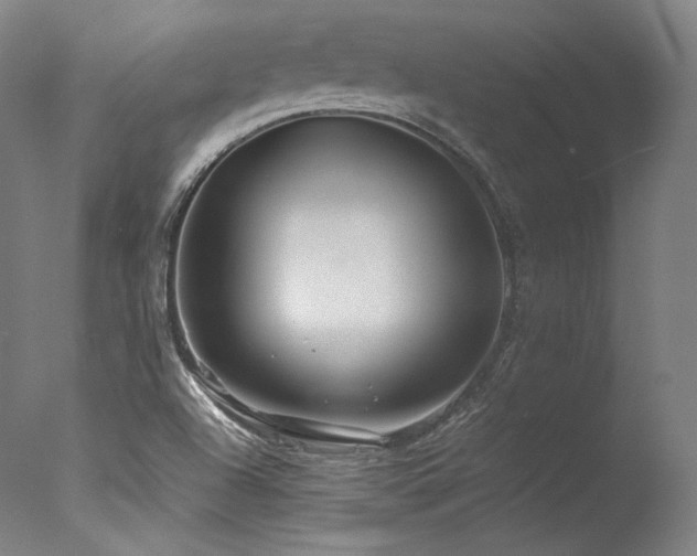 X0000077361504200610201309