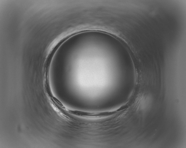 X0000077361511200610201309