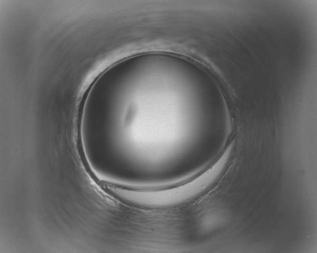 X0000077361512200610201309