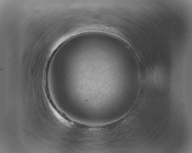 X0000077361523200610201309
