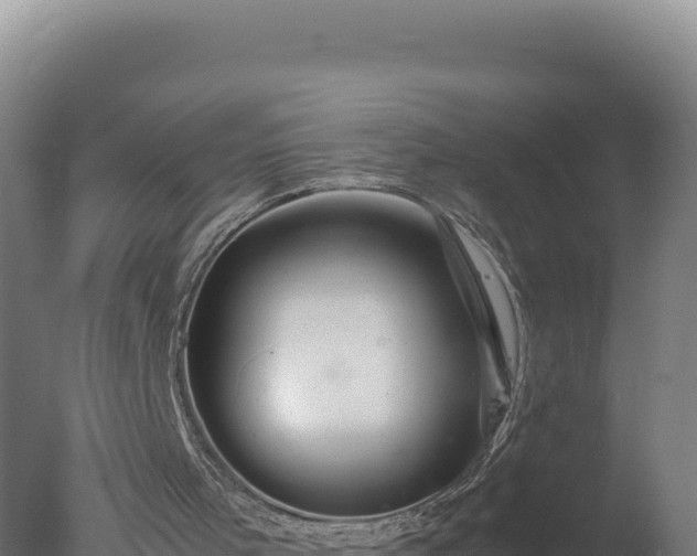 X0000077360001200610271906