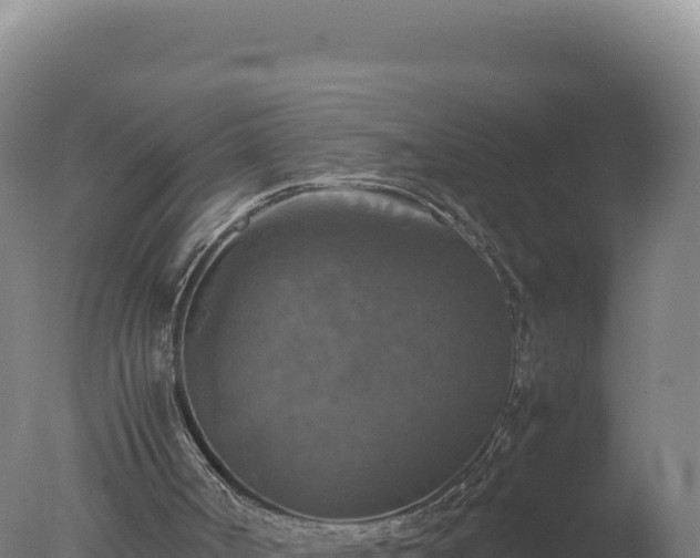 X0000077360002200610271906