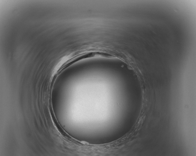 X0000077360003200610271906