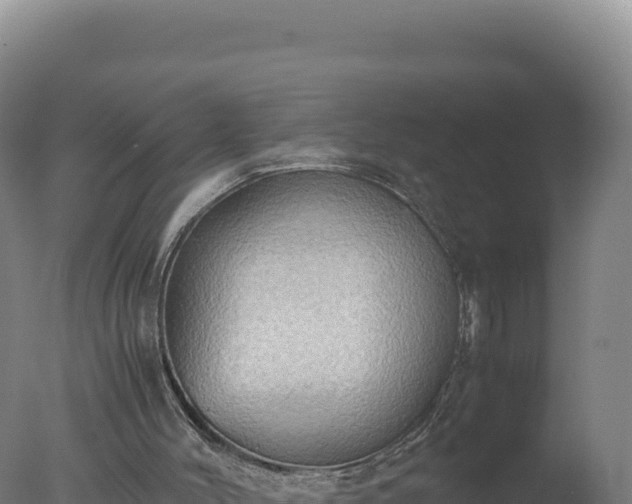 X0000077360004200610271906