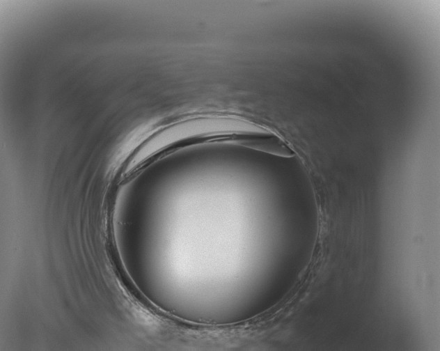 X0000077360005200610271906