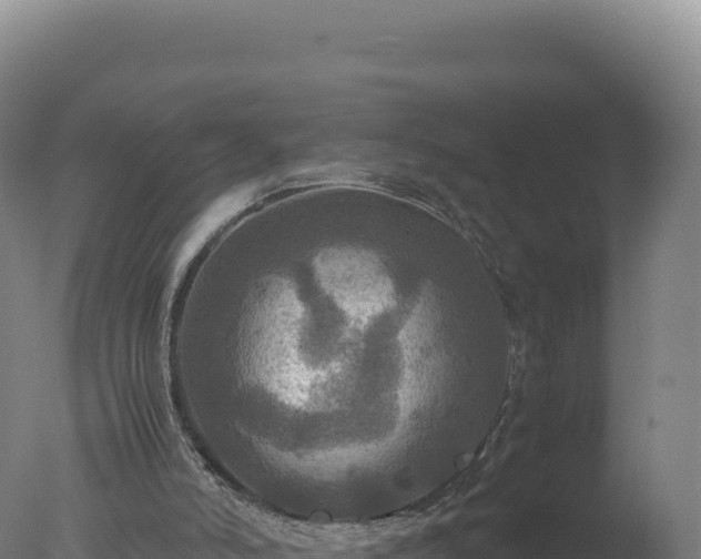 X0000077360006200610271906