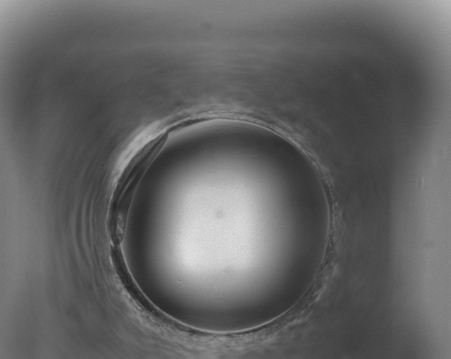 X0000077360007200610271906