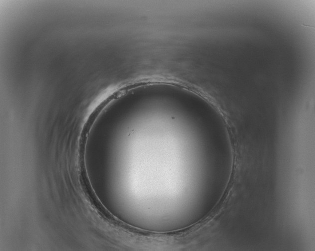 X0000077360008200610271906