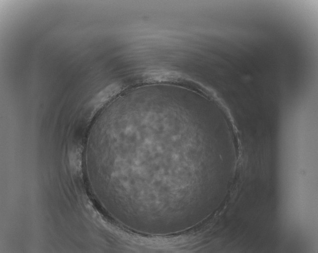 X0000077360010200610271906