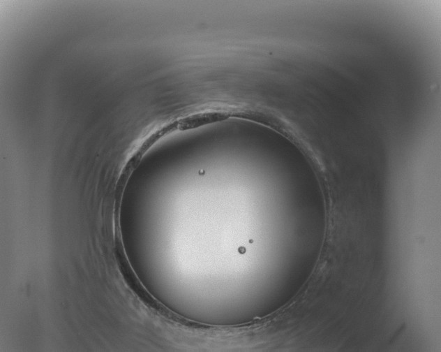 X0000077360011200610271906