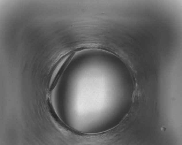 X0000077360013200610271906