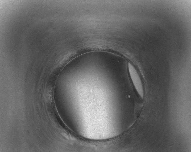 X0000077360017200610271906