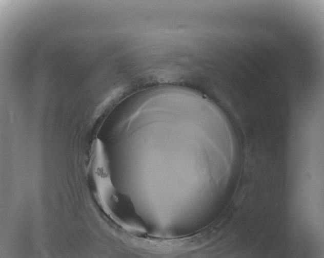 X0000077360019200610271906