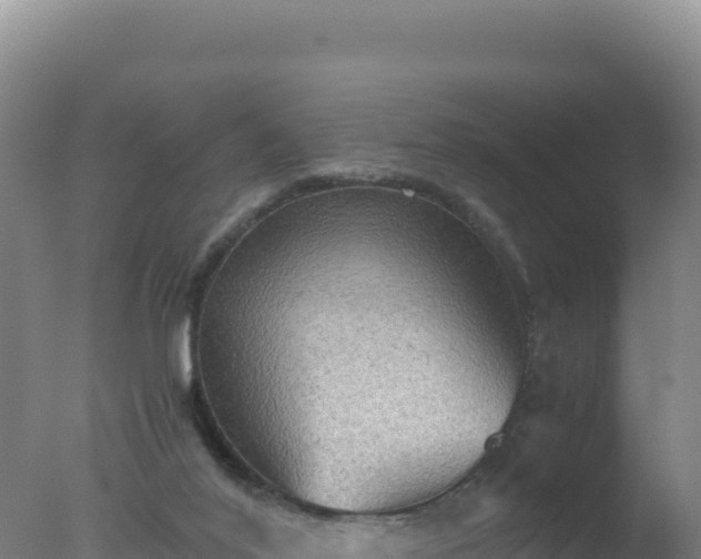 X0000077360020200610271906