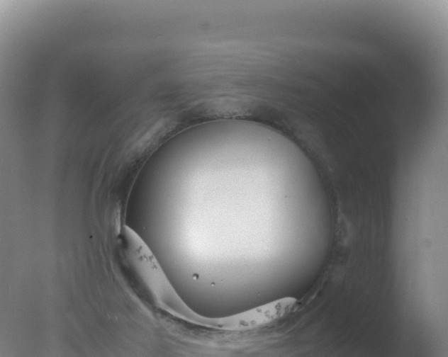 X0000077360021200610271906