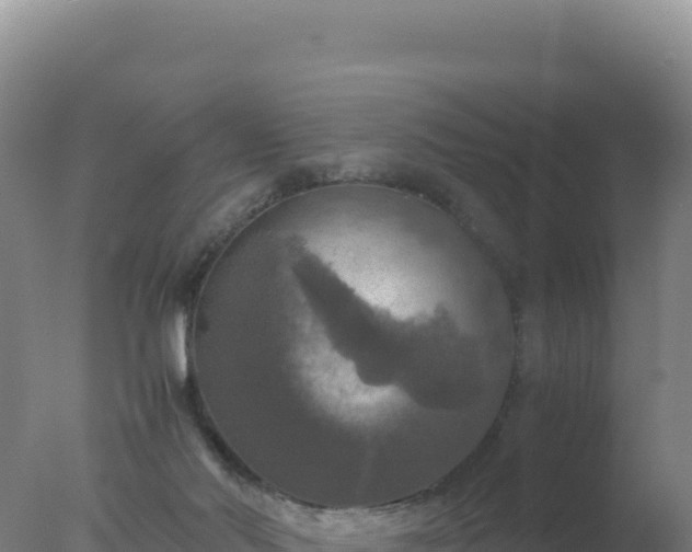 X0000077360022200610271906