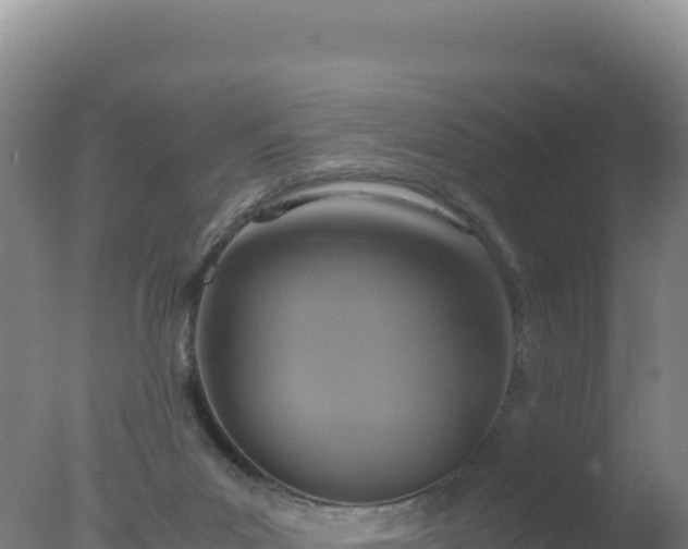 X0000077360023200610271906