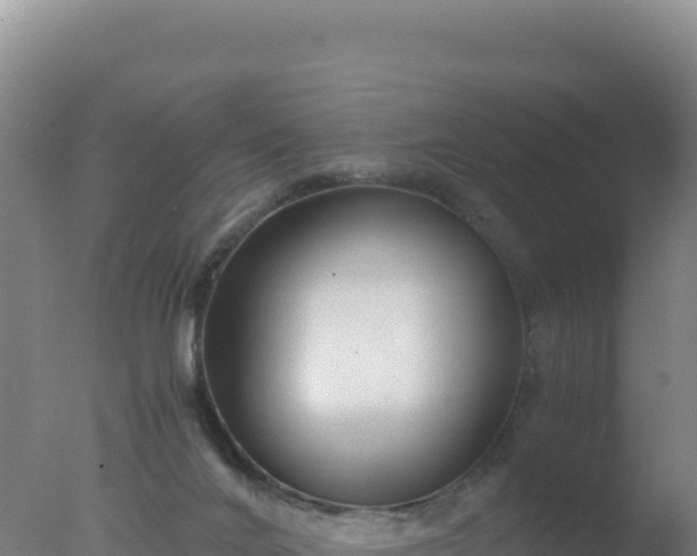 X0000077360024200610271906