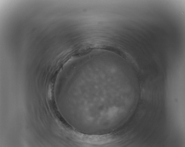 X0000077360026200610271906