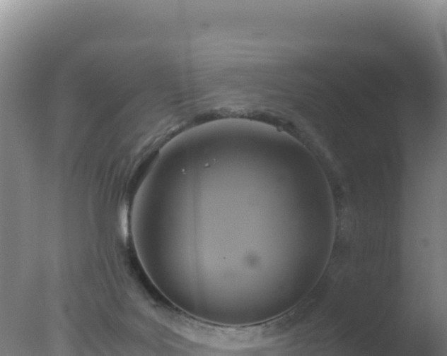 X0000077360027200610271906