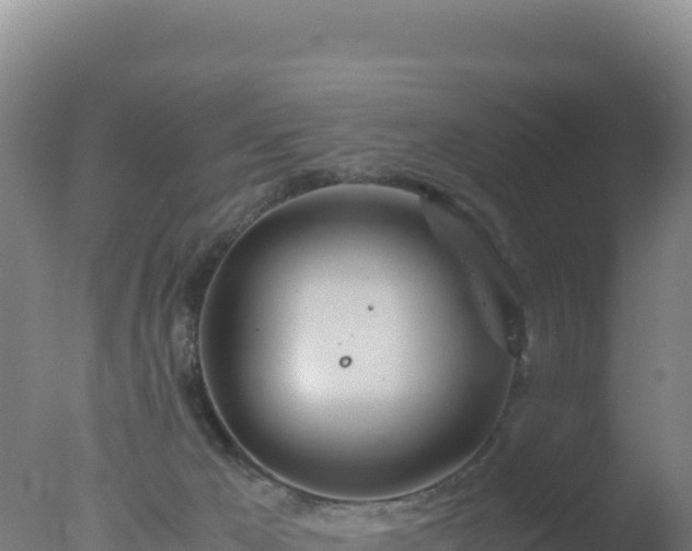 X0000077360029200610271906