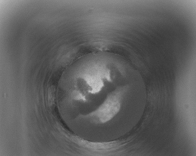 X0000077360030200610271906