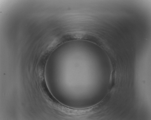 X0000077360031200610271906