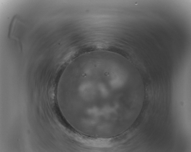 X0000077360032200610271905