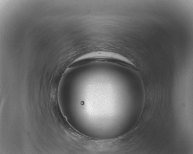 X0000077360033200610271905