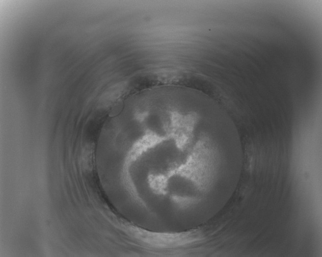 X0000077360034200610271905