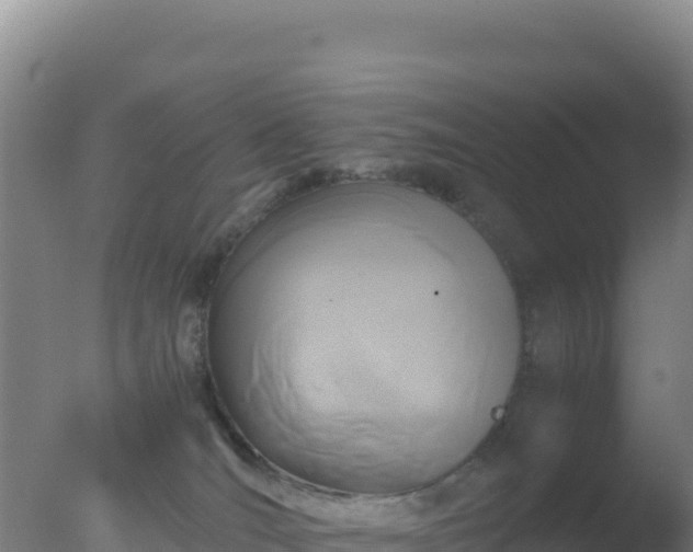 X0000077360036200610271905