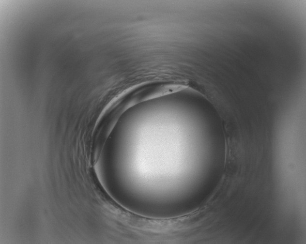 X0000077360037200610271905