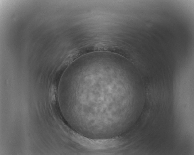 X0000077360038200610271905