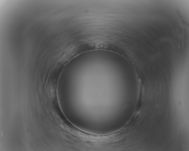 X0000077360039200610271905