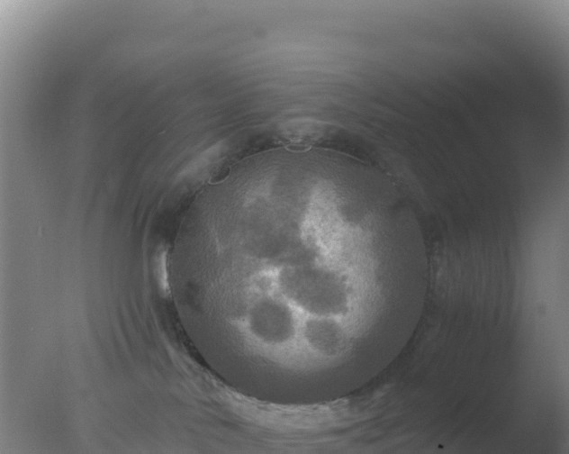 X0000077360042200610271905