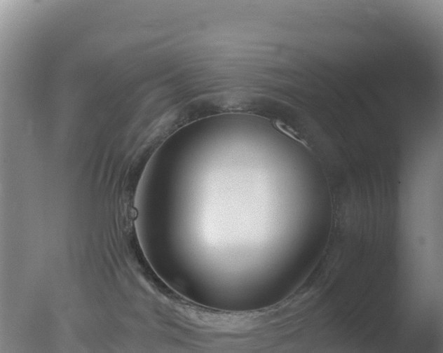 X0000077360044200610271905