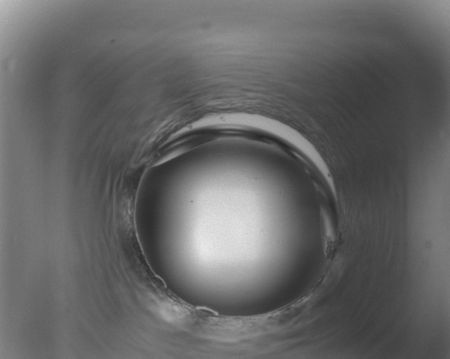 X0000077360045200610271905