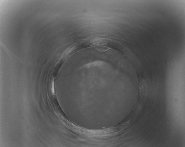 X0000077360046200610271905