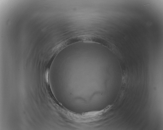 X0000077360047200610271905