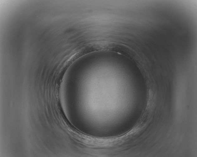 X0000077360048200610271905