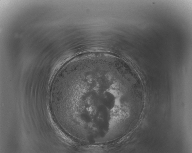 X0000077360049200610271904