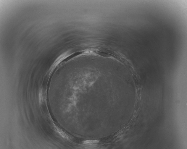 X0000077360051200610271904