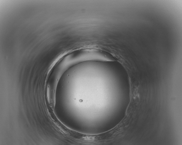 X0000077360052200610271904