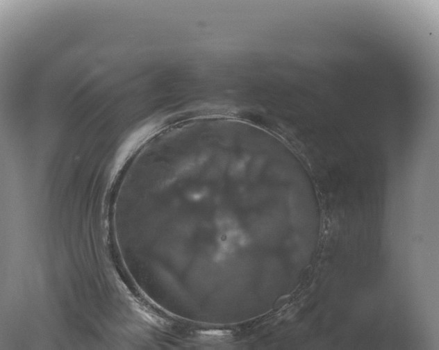 X0000077360053200610271904