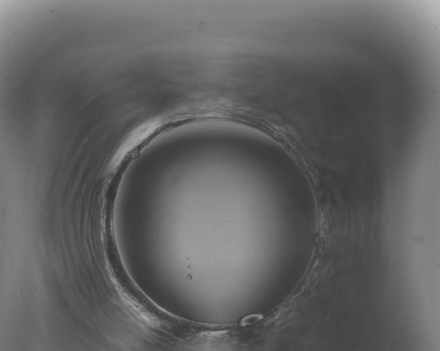 X0000077360054200610271904